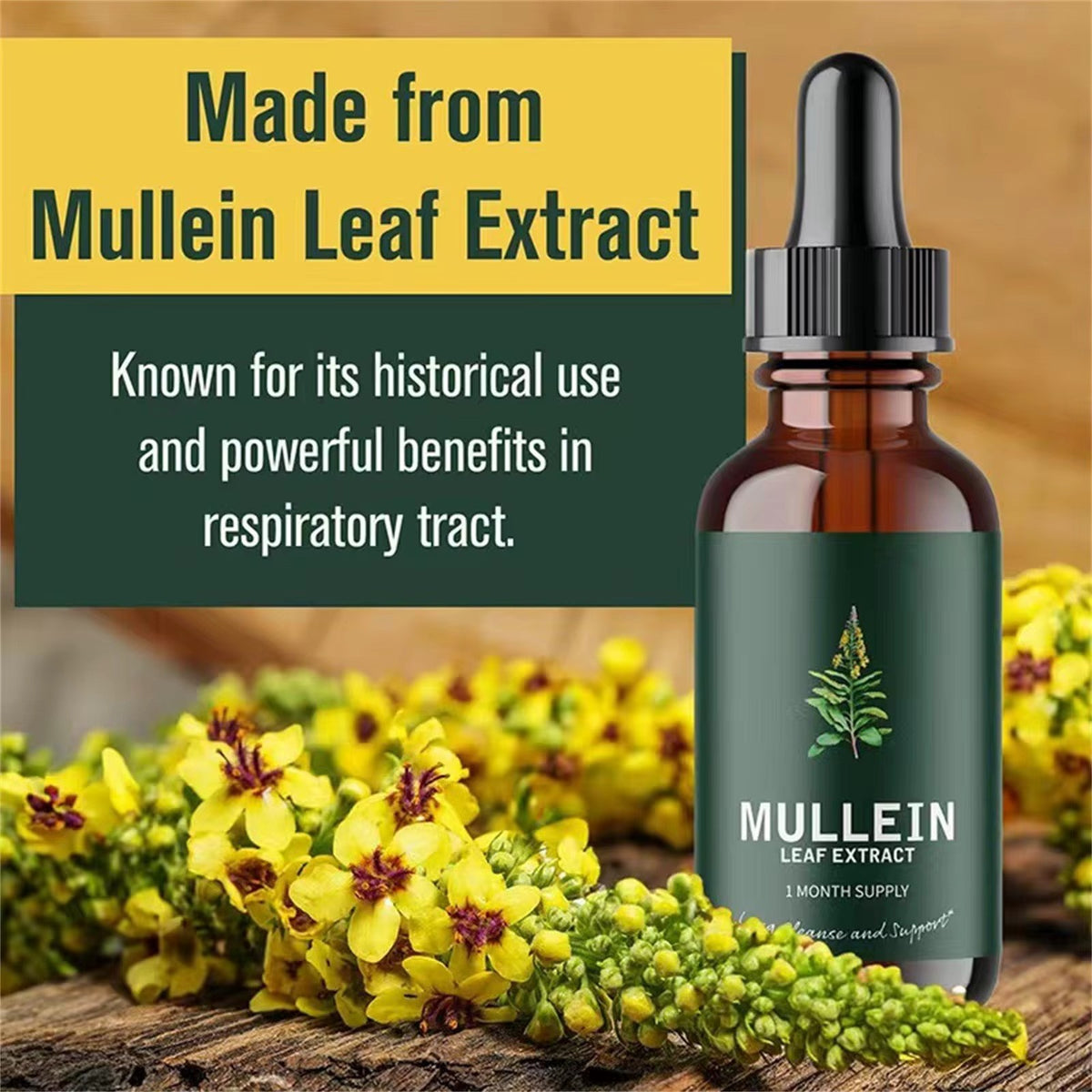 Lung Aid™ Mullein + Chlorophyll Organic Non-GMO Extract:  Powerful Respiratory Support & Cleanse